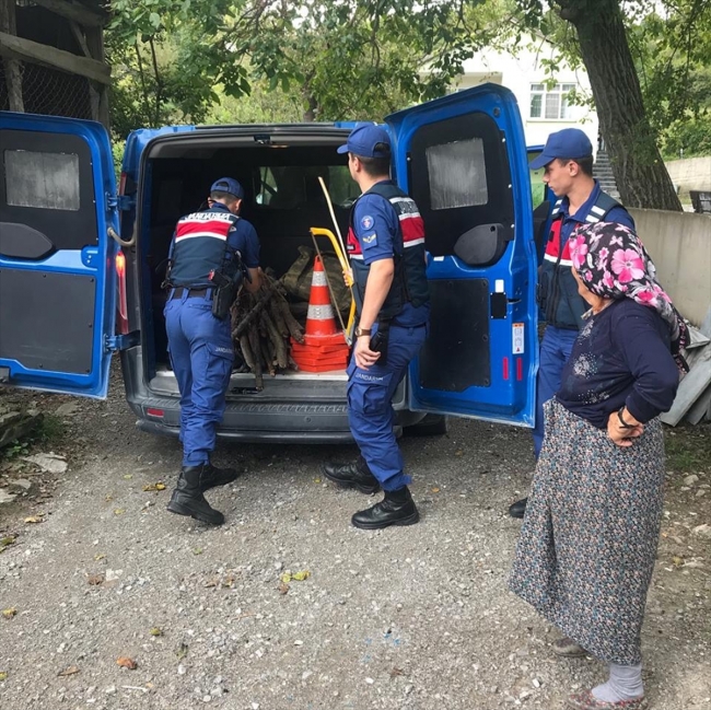 Odun taşıyan yaşlı kadına jandarma yardım etti