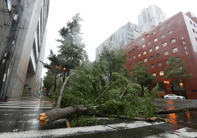 Japonya'yı Jebi tayfunu vurdu: 11 ölü, 400 yaralı