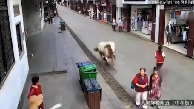 Çin'de kaldırımda yürüyen yayalara at çarptı