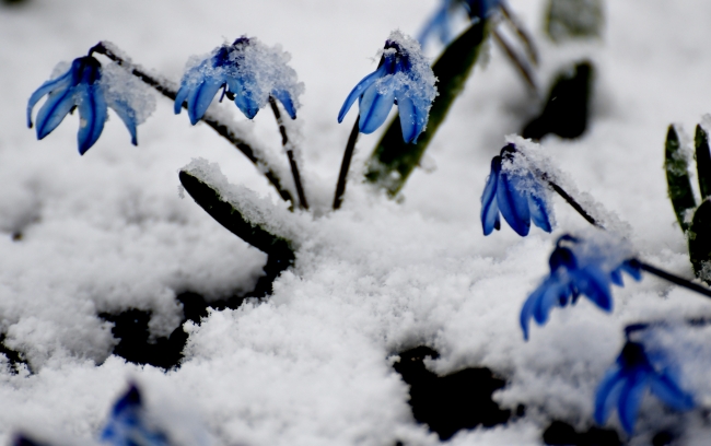 Nisan ayında kar sürprizi