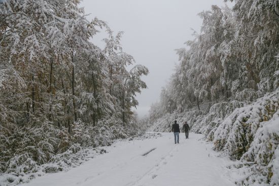 Mevsimin ilk karı düştü. İşte beyaza bürünen şehirler...