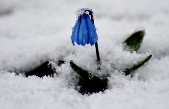 Nisan ayında kar sürprizi
