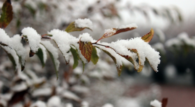 Ankara'da beklenen kar yağışı başladı