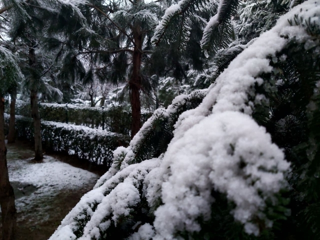 Fotoğraf: TRT Haber