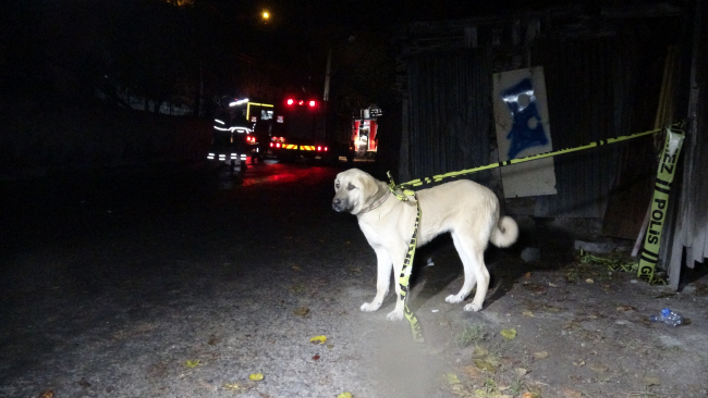 Fotoğraf: TRT Haber