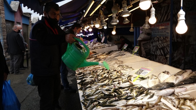 İstavrit bolluğu hamsinin yerini doldurmuyor