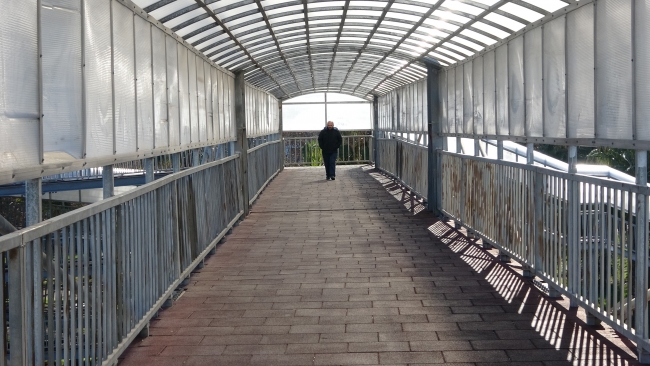 Karadeniz'de 'labirent' üst geçitler şaşırtıyor