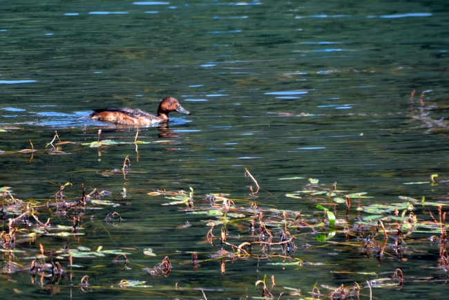 Karagöl her mevsim ilgi çekiyor