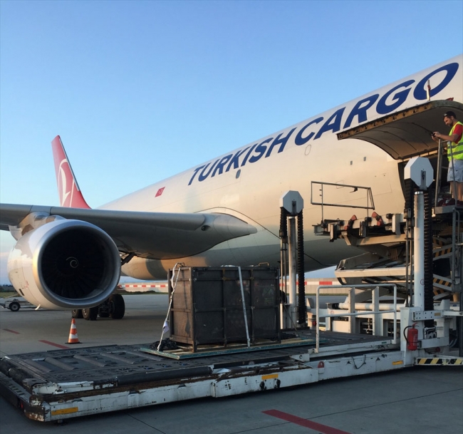 Turkish Cargo vahşi hayvanları Prag'dan İstanbul'a güvenle taşıdı