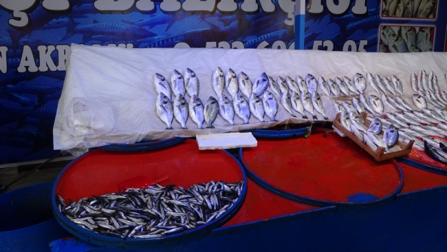 Kar sonrası balık fiyatları yükseldi