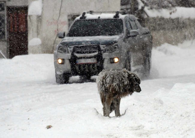 Kara kış yolları kapattı: 26 yerleşim birimine ulaşım sağlanamıyor
