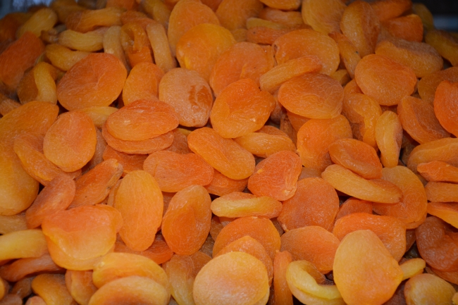 Dünyanın ağzı Malatya kayısısıyla tatlandı