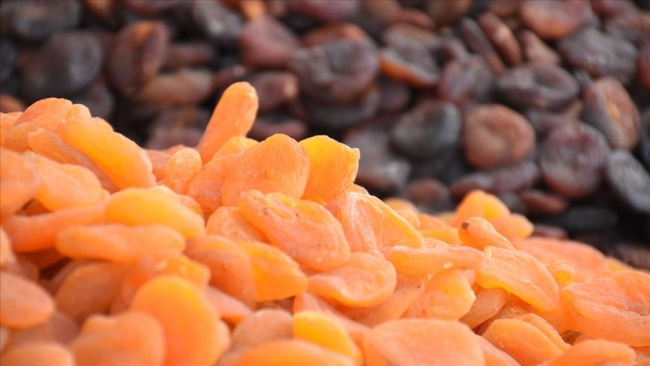 Kuru meyve ihracatından elde edilen gelir 700 milyon doları aştı