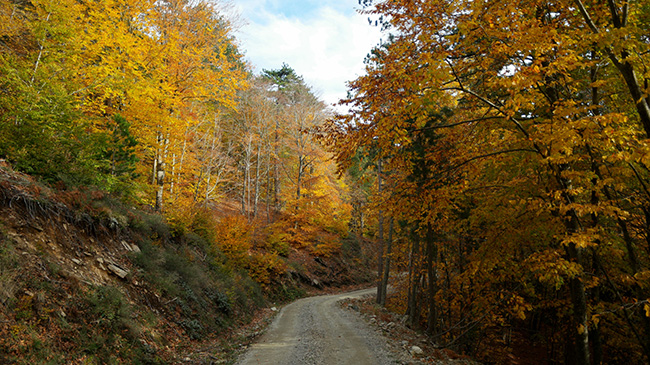 Kazdağları hazan renklerine büründü