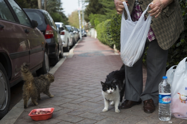 Sokak hayvanlarını beslemek için her gün 3 saat yürüyor