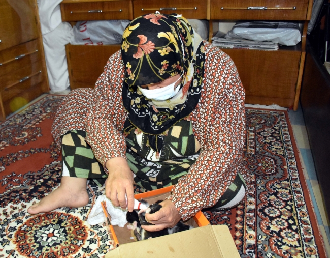 Yatak odası yavru kedilerin yeni yuvası oldu