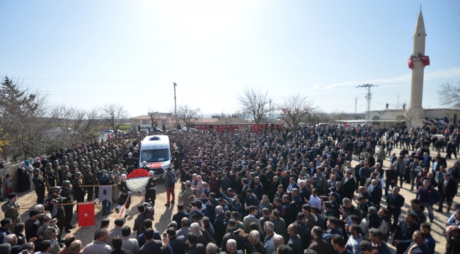 Zeytin Dalı Harekatı şehitlerini son yolculuğuna binlerce kişi uğurladı