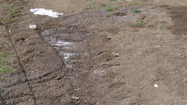 Büyükçekmece'de kimyasal atık alarmı