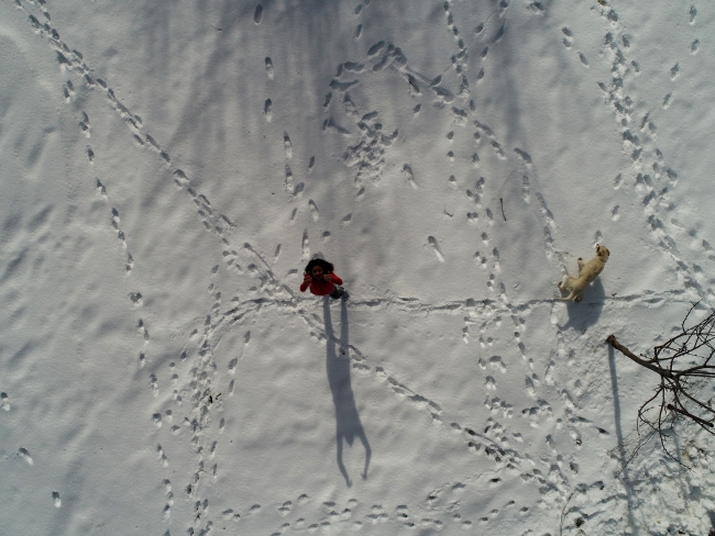 Türkiye soğuk ve kar yağışının etkisi altında