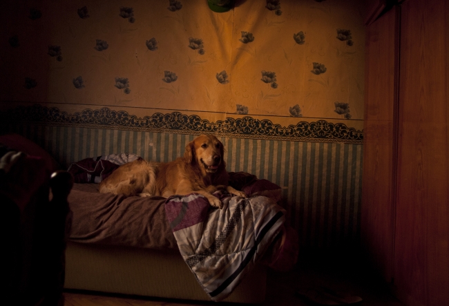 Patiler kimyasal ürünlerle temizlenmemeli