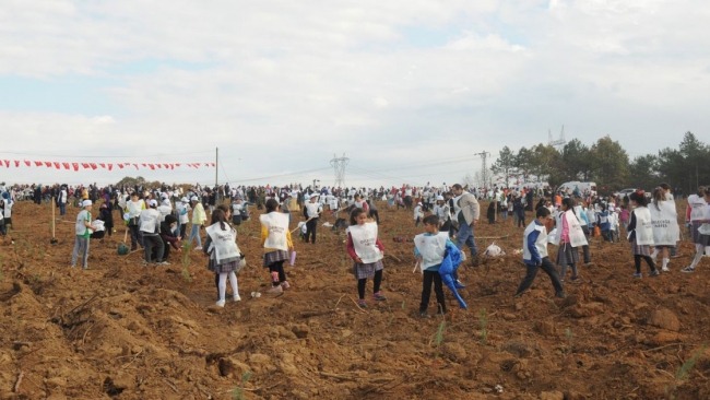 81 ilde 11 milyon fidan toprakla buluştu