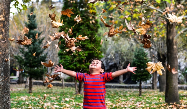 Türkiye'nin dört bir yanından sonbahar manzaraları