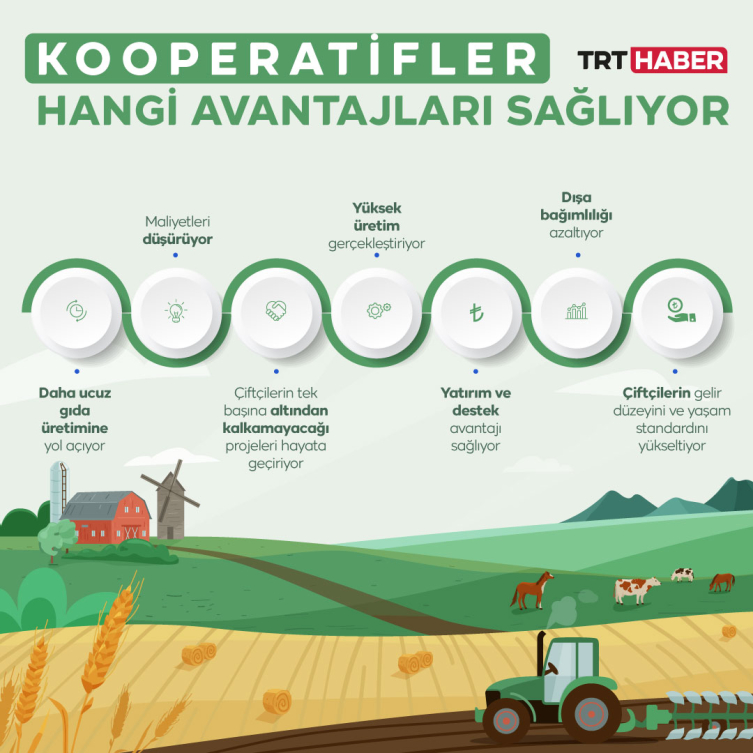 Grafik: Şeyma Özkaynak