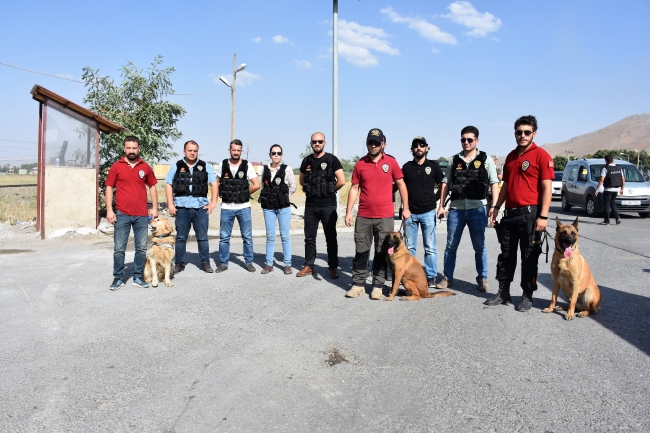 Dedektör köpekler kaçakçılara göz açtırmadı