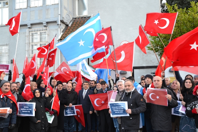 Danimarka'da yaşayan Türklerden "Zeytin Dalı Harekatı"na destek gösterisi