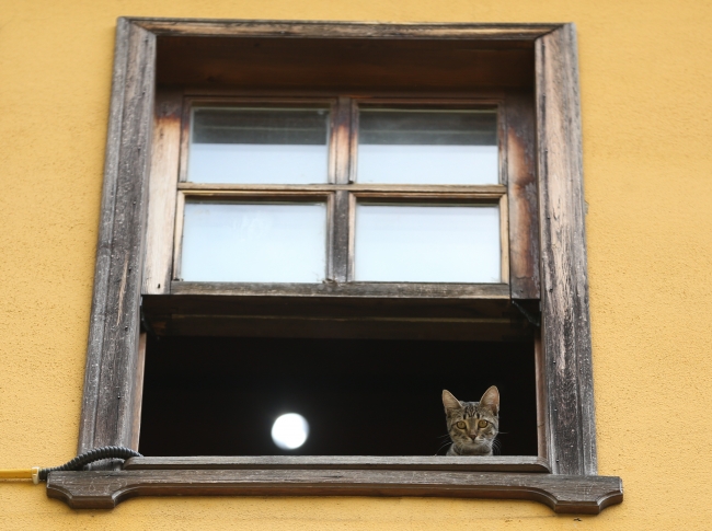 Bursa'daki 576 yıllık Irgandı Çarşılı Köprüsü turistlerin uğrak mekanı