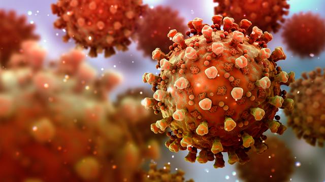 Uzmanlar uyarıyor: Mutasyona karşı tedbirler daha sıkı olmalı