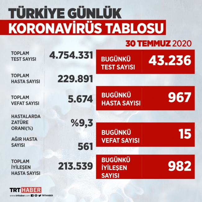 Türkiye'de iyileşenlerin sayısı 213 bin 539'a yükseldi