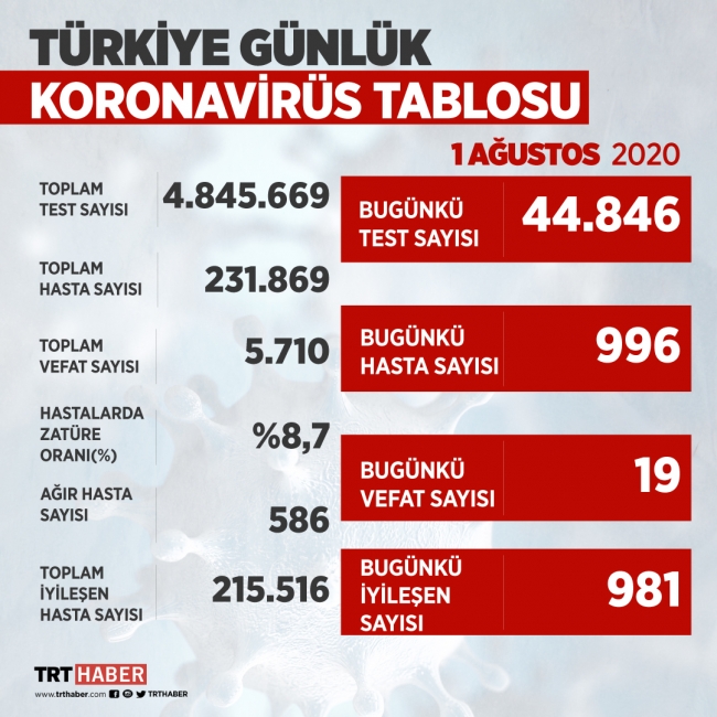 Türkiye'de iyileşenlerin sayısı 215 bin 516'ya yükseldi