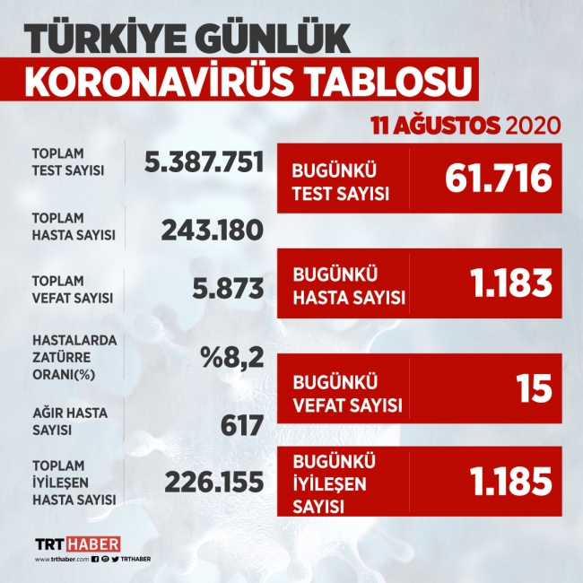 Türkiye'de iyileşenlerin sayısı 226 bin 155'e yükseldi