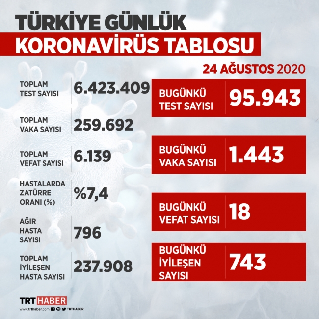 Türkiye'de iyileşenlerin sayısı 237 bin 908 kişiye ulaştı