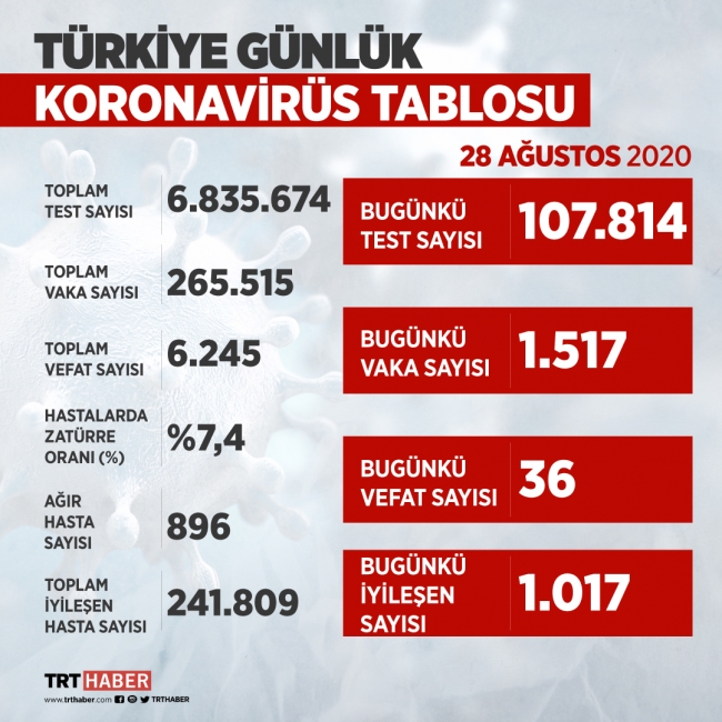 Türkiye'de iyileşenlerin sayısı 241 bin 809'a yükseldi