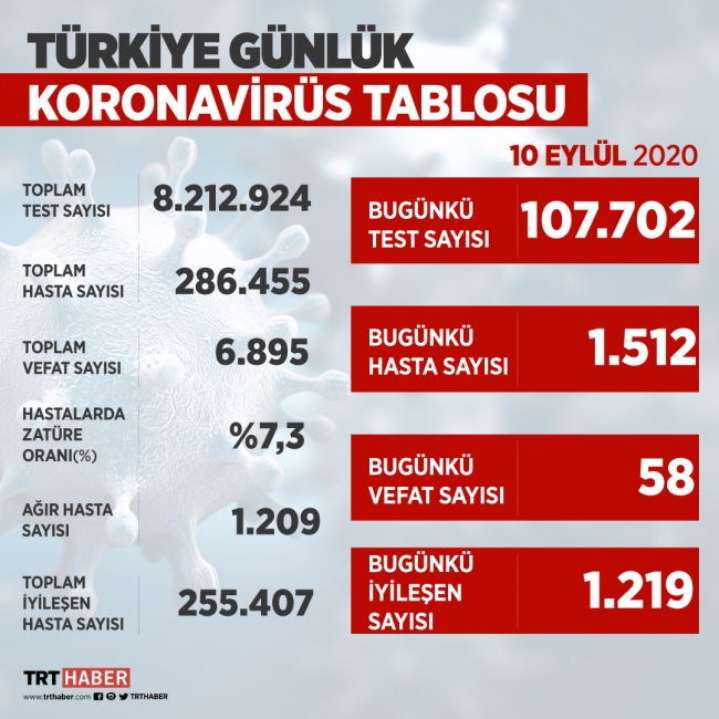 Türkiye'de iyileşenlerin sayısı 255 bin 407'ye yükseldi
