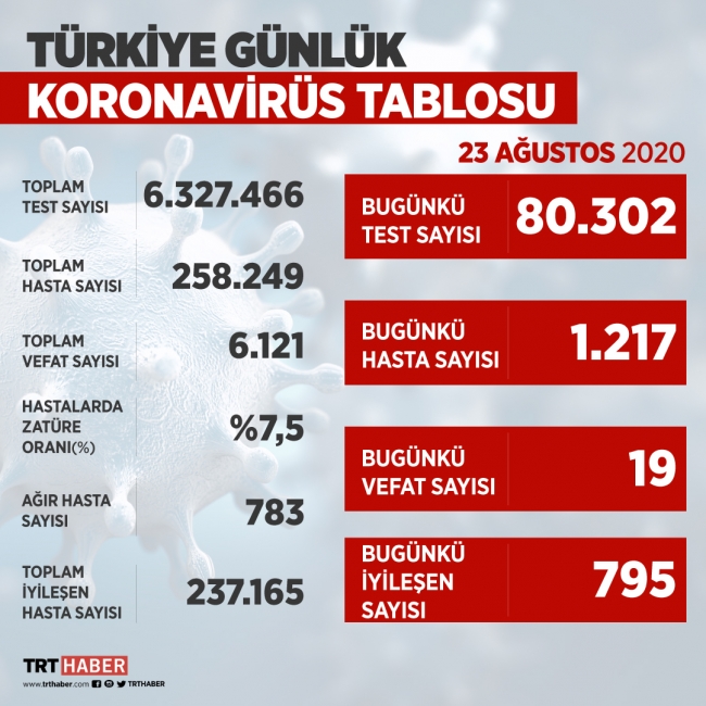 Türkiye'de iyileşenlerin sayısı 237 bin 165'e yükseldi