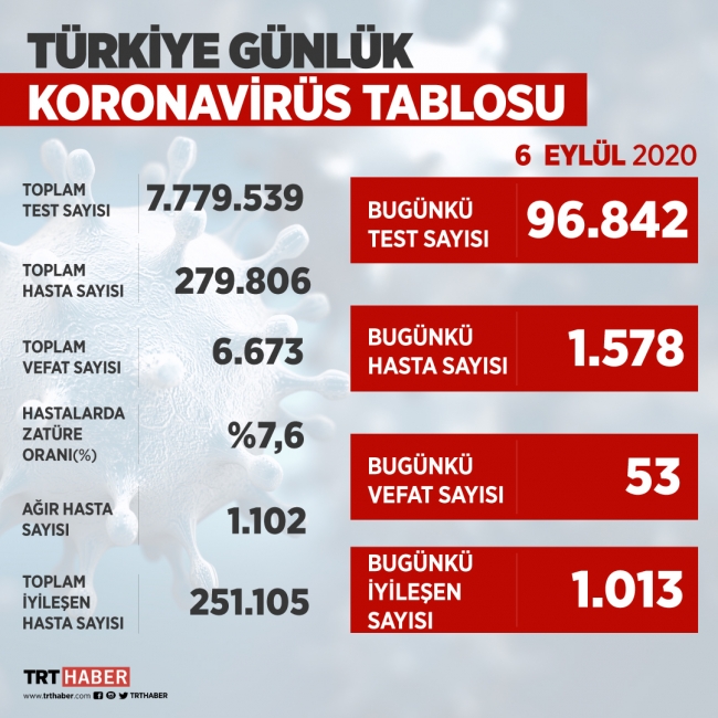 Türkiye'de iyileşenlerin sayısı 251 bin 105'e yükseldi