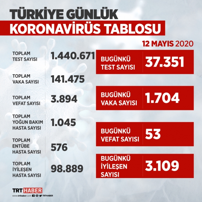 Türkiye'de koronavirüsü atlatan kişi sayısı 100 bine yaklaştı
