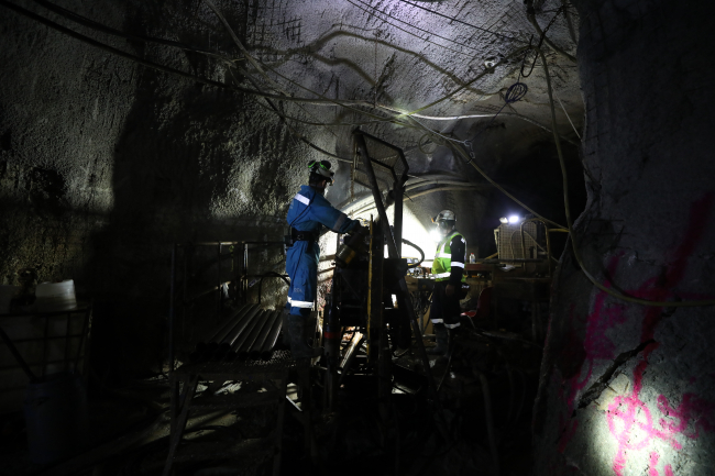 TMSF'ye devredilen Koza Altın, İzmir'de 145 bin ons altın üretti