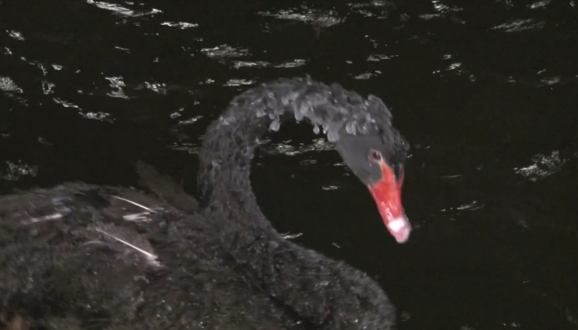 Ankara'da sıcaklık eksi 17'ye düştü