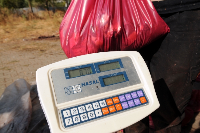 Kurbanlar kesilip her eve eşit dağıtılıyor