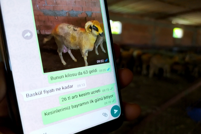 Telefondan kurbanlık satışı