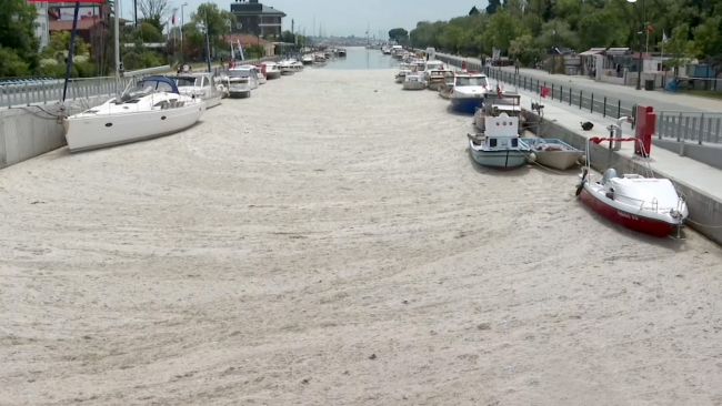 Müsilajın istila ettiği İstanbul sahillerinde temizlik başladı