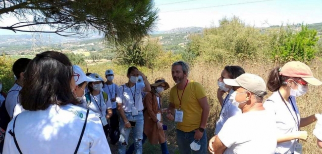 Kuşadası'nın endemik bitkisi ‘tülüşah' koruma altında