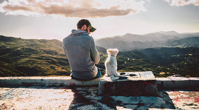 Köpeklerin kelimeleri nasıl anladığı araştırılıyor