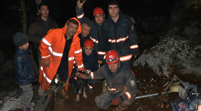 Kayalıklara sıkışan köpek kurtarıldı