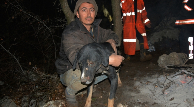 Kayalıklara sıkışan köpek kurtarıldı