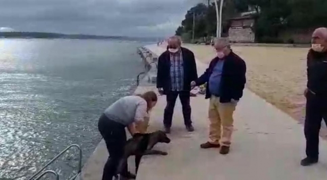 Boğulma tehlikesi geçiren köpek için buz gibi suya atladı